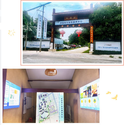 KS��ʱ��(�й���)�ٷ���վ