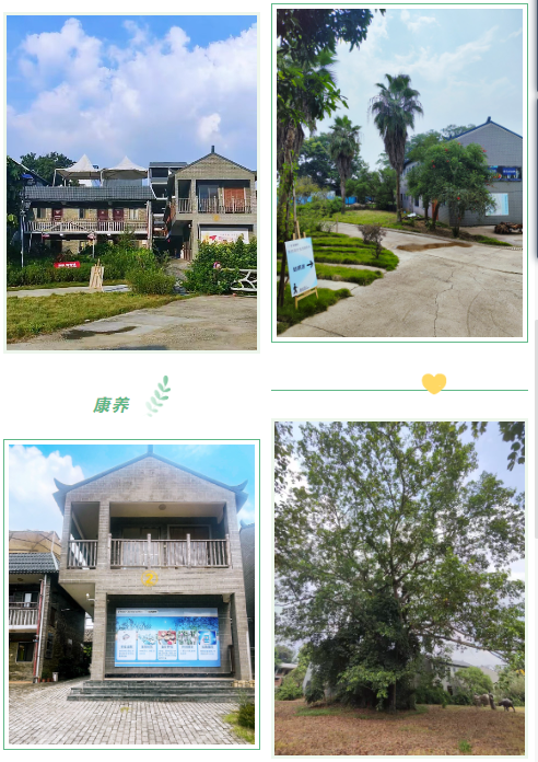 KS��ʱ��(�й���)�ٷ���վ